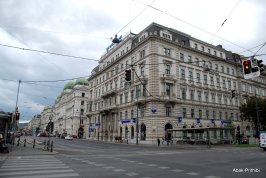 Vienna (6)
