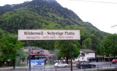 Wilderswil - Switzerland (4)