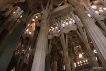 Sagrada Família, Spain (9)