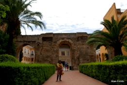Alcázar of Seville, Spain (14)