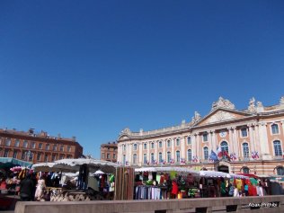 Wednesday market in Toulouse (2)
