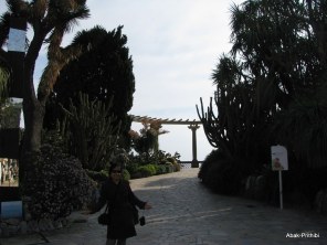 Jardin Exotique de Monaco (1)