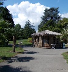 Botanical Garden, Geneva, Switzerland (1)
