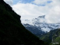 Way to Mt Rigi, Switzerland (11)