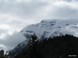 Way to Mt Rigi, Switzerland (13)