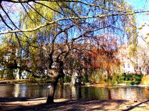 Le Jardin Royal, Toulouse, France (15)