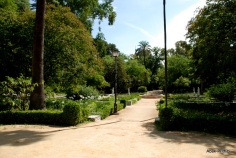 Maria Luisa Park, Seville, Spain (5)