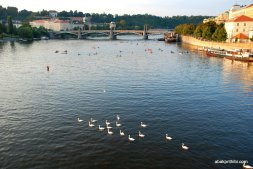 The Vltava river, Czech Republic (21)
