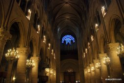 The pipe organ, Notre Dame, Paris, France, Europe (2)