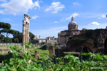 The Roman Forum, Rome, Italy (14)