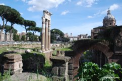 The Roman Forum, Rome, Italy (15)