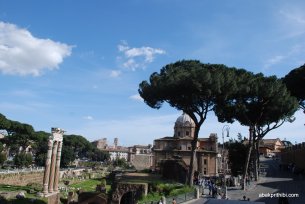 The Roman Forum, Rome, Italy (16)