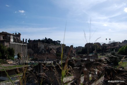 The Roman Forum, Rome, Italy (7)