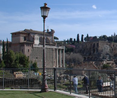 The Roman Forum, Rome, Italy (8)