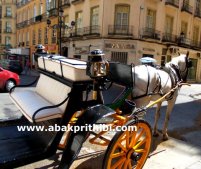 Horse cart in Europe