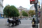 Horse carts in Europe (10)