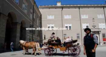 Horse carts in Europe (18)