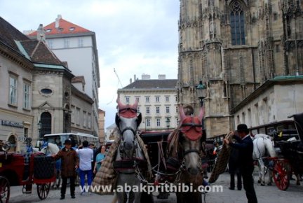 Horse carts in Europe (7)