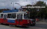 Trams in Vienna (1)
